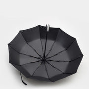 Automatic Umbrella Auto Open Close Compact Folding Anti Rain Windproof 10Ribs Au - Wine Red V528-AUTOMATICUMBRELLA-RED-299447