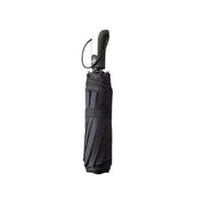 Automatic Umbrella Auto Open Close Compact Folding Anti Rain Windproof 10Ribs Au - Wine Red V528-AUTOMATICUMBRELLA-RED-299447