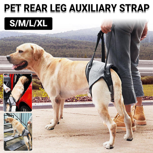 Decompression Back Leg Strap for Injured and Older Dogs Support Harness Aid - L V528-AUXILIARY-HARNESS-G-L-558182