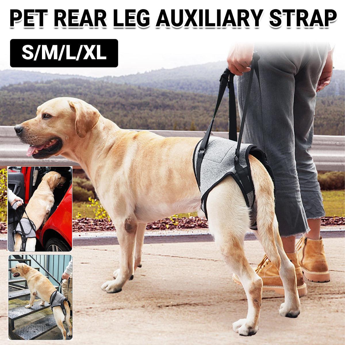 Decompression Back Leg Strap for Injured and Older Dogs Support Harness Aid - XL V528-AUXILIARY-HARNESS-G-XL-791638