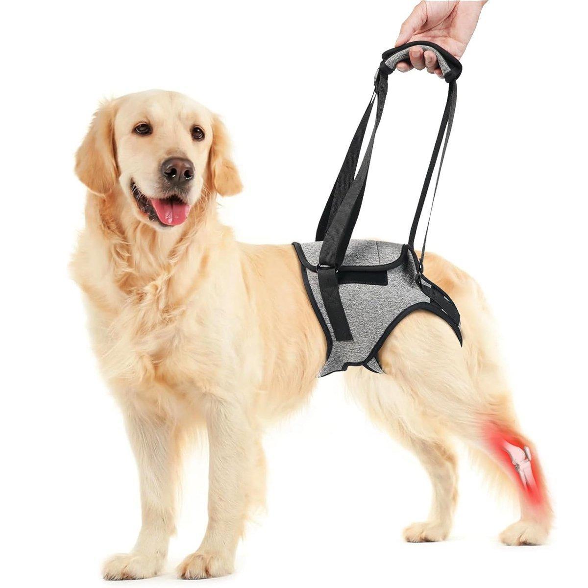 Decompression Back Leg Strap for Injured and Older Dogs Support Harness Aid - XL V528-AUXILIARY-HARNESS-G-XL-791638