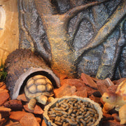 Pet Reptile Tank Board 3D Foam Backgrounds and Habitat Decoration 9 Styles - D V528-BACKGROUND-D-784122