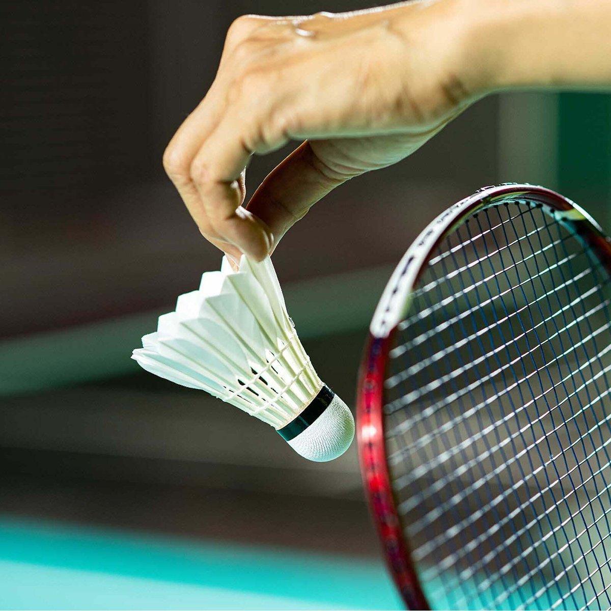 12 Pcs Badminton Shuttlecocks Durable Gooes Feather Badminton Ball For Training V528-BADMINTON-WHITE-12PCS-706547
