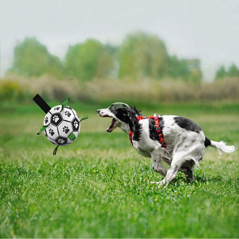 Interactive Pet Football Dog Toys Grab Tabs Outdoor Training Soccer Chew Balls V528-BALL-17545