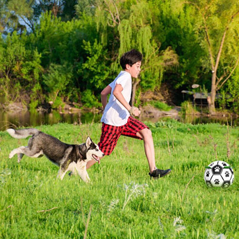 Interactive Pet Football Dog Toys Grab Tabs Outdoor Training Soccer Chew Balls V528-BALL-17545