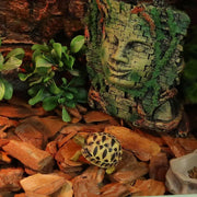 Reptile Bedding Substrate for Lizard Snake Tortoise Natural Bark Material - Small 650g V528-BARK-PARTICLE-S-832929