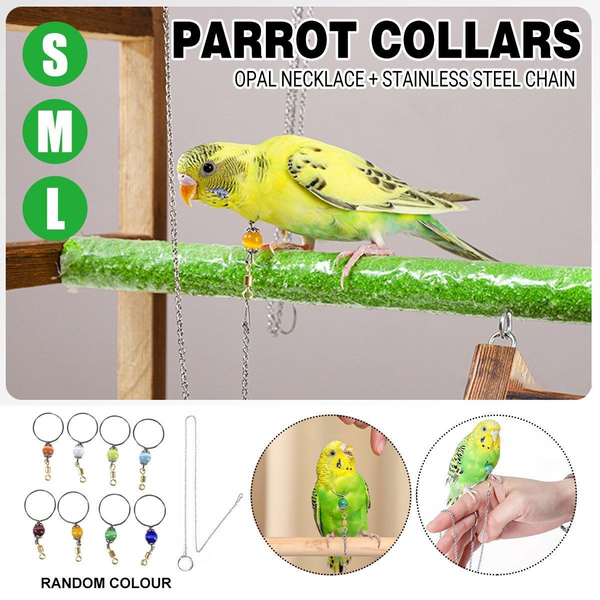 Parrot Neck Collar Stainless Steel Bird Chain Training Adjustable Bird Leash - M-Diameter 1.9cm V528-BIRD-CHAIN-MYS-M-725664