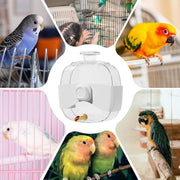 450ml Parrot Water Bottle Bird Drinker Feeder Large Capacity for Birds and Pet V528-BIRD-DRINKER-715830