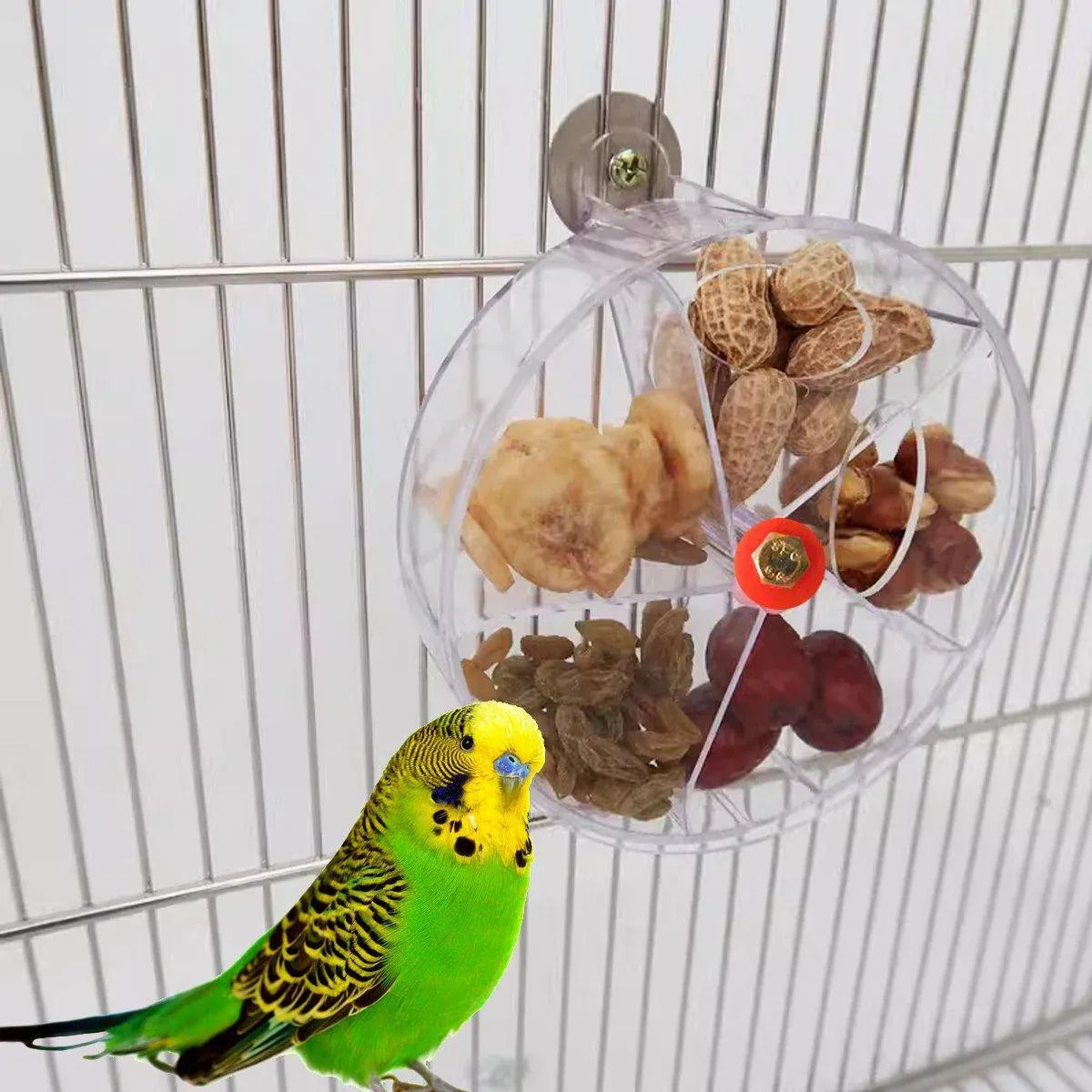 Parrot Foraging Toy Bird Chew Wheel Food Dispenser Divider Box Cage Accessory - Transparent V528-BIRD-FEEDER-TM-719438