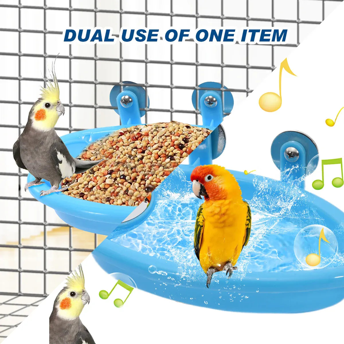 Bird Bath Basin Mirror Type Hanging Bird Bathtub For Multifunction Accessory V528-BIRD-MIRROR-211262