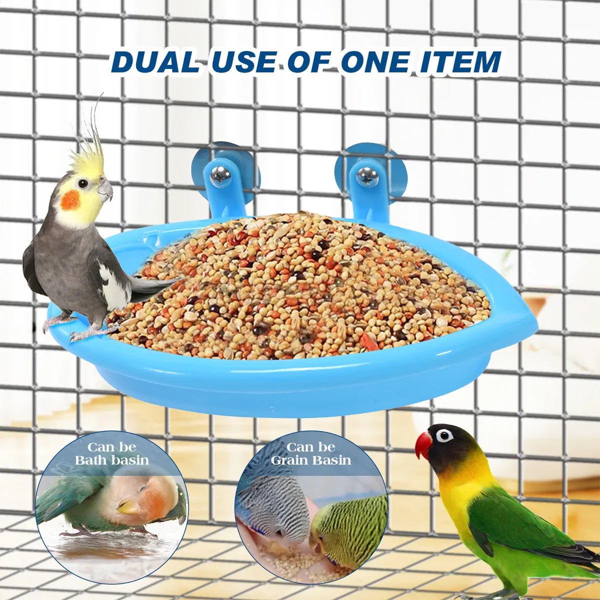 Bird Bath Basin Mirror Type Hanging Bird Bathtub For Multifunction Accessory V528-BIRD-MIRROR-211262