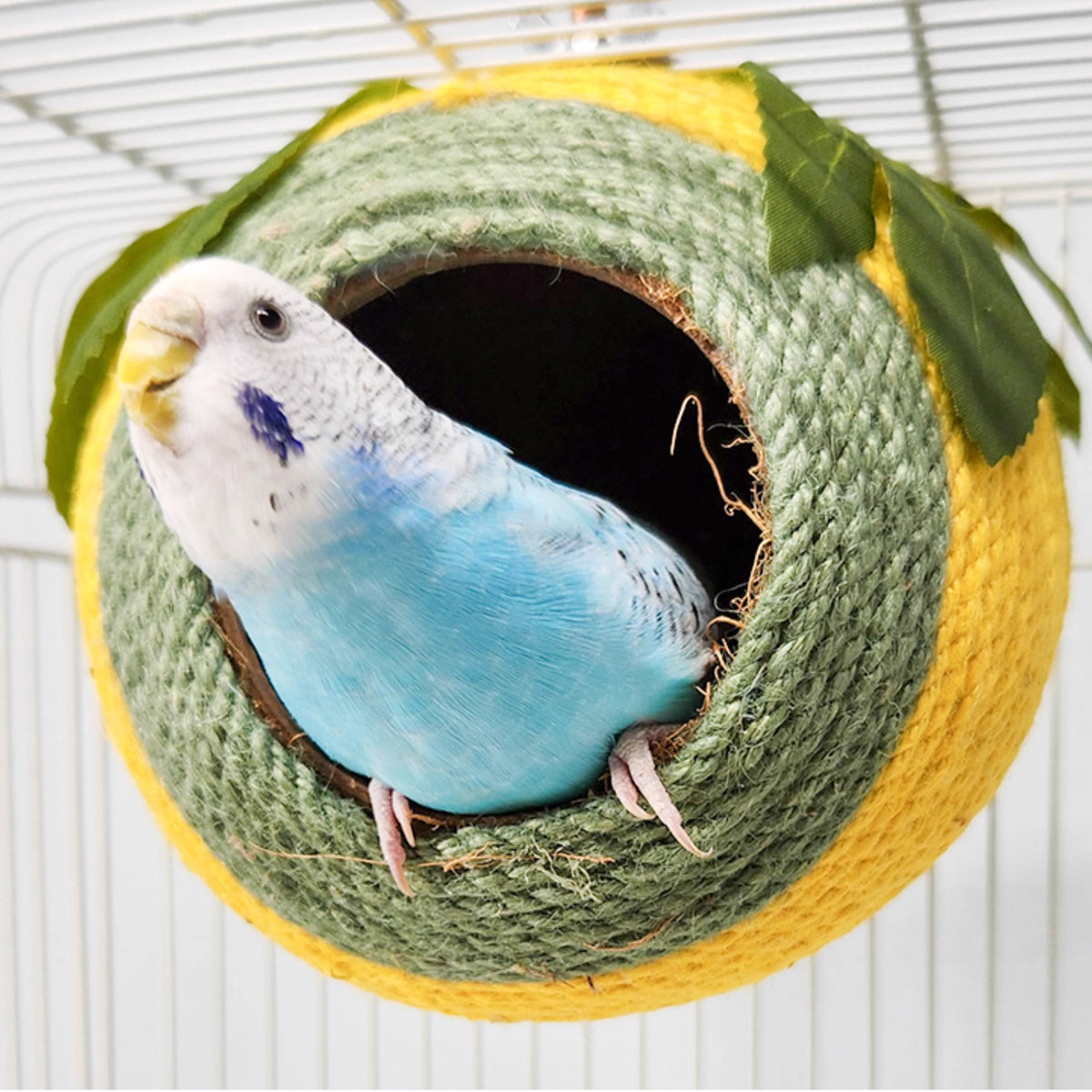 Bird Nest Parrot Nest Coconut Shell Braided Twine Colourful Cage Hanging Bed - White-Green-Screw Model V528-BIRD-NEST-GREEN-LS-755818