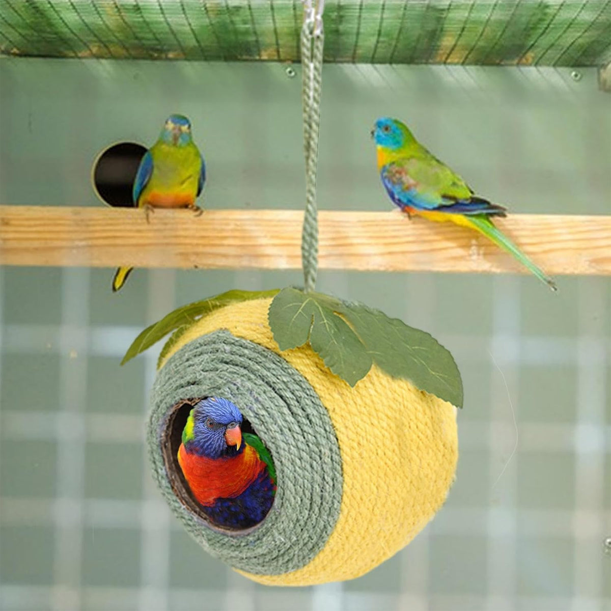 Bird Nest Parrot Nest Coconut Shell Braided Twine Colourful Cage Hanging Bed - Green-Yellow-Screw Model V528-BIRD-NEST-YELLOW-LS-639920