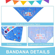 Pet Birthday Cake Hat and Triangle Towel combination Fun Party Dress Up for Pets - Pink V528-BIRTHDAY-SUIT-CD-PINK-202872