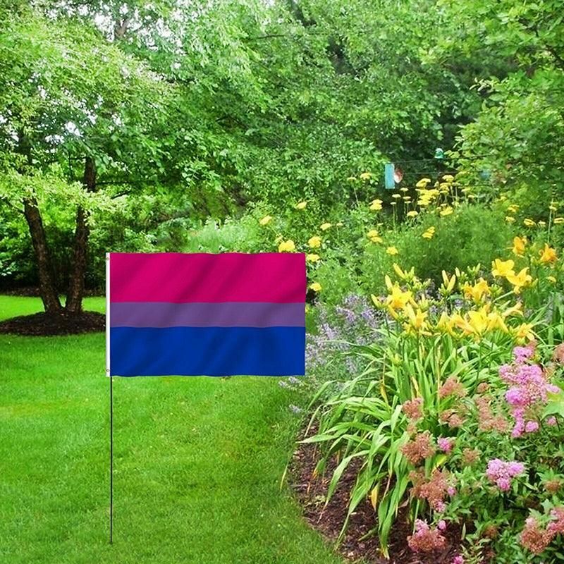 Bisexual Large Flag 150X90Cm Bi Sexual Pride Lgbt Lesbian Gay Rainbow Mardi Gras V528-BISEUALFLAG-150-90CM-281401