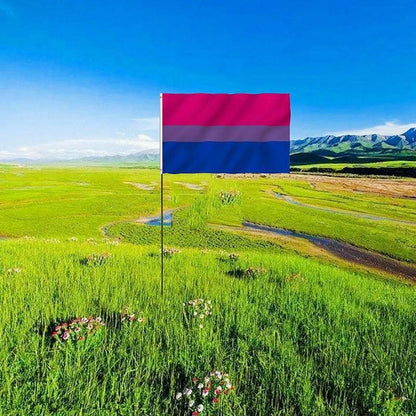 Bisexual Large Flag 150X90Cm Bi Sexual Pride Lgbt Lesbian Gay Rainbow Mardi Gras V528-BISEUALFLAG-150-90CM-281401