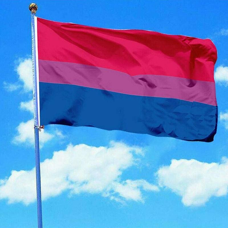 Bisexual Large Flag 150X90Cm Bi Sexual Pride Lgbt Lesbian Gay Rainbow Mardi Gras V528-BISEUALFLAG-150-90CM-281401