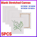 5x Artist Blank Stretched Canvas Canvases Art Large White Range Oil Acrylic Wood - 20*30CM V528-BLANKCANVAS-20X30CM-5PCS-623421