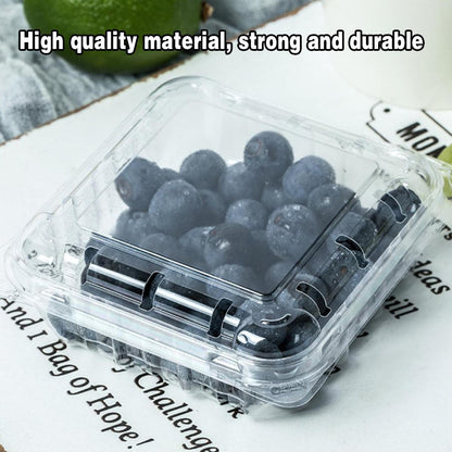 100pcs Transparent Plastic Fruit Box with Tape Cover Storage Packaging for Fruit - 250g V528-BOX-100PCS-250G-129050