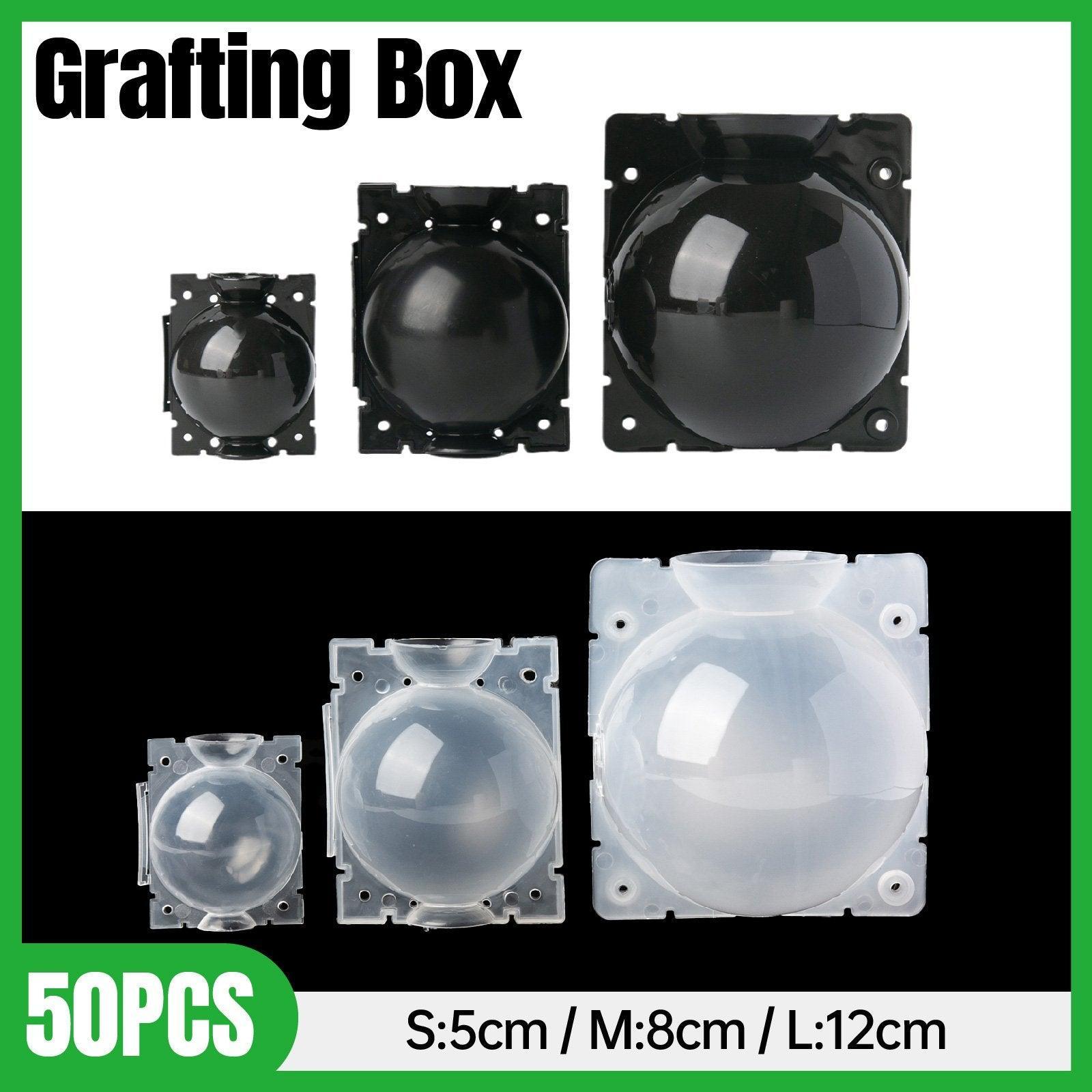 50pcs Plant Rooting Device High Pressure Grafting Box for Seedling Branch Garden - Clear S-50PCS V528-BOX-50PCS-TRANSPARENT-290642