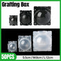 50pcs Plant Rooting Device High Pressure Grafting Box for Seedling Branch Garden - Clear S-50PCS V528-BOX-50PCS-TRANSPARENT-290642