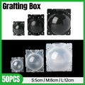 50pcs Plant Rooting Device High Pressure Grafting Box for Seedling Branch Garden - Clear L-50PCS V528-BOX-50PCS-TRANSPARENT-299119