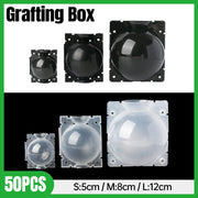 50pcs Plant Rooting Device High Pressure Grafting Box for Seedling Branch Garden - Clear L-50PCS V528-BOX-50PCS-TRANSPARENT-299119
