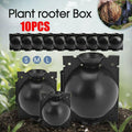 10Pcs Plant Rooting Ball High Pressure Propagation Box Grafting Breeding Device - L-12CM-10PCS V528-BREEDER-LARGESIZE-10PCS-10506