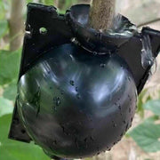 10Pcs Plant Rooting Ball High Pressure Propagation Box Grafting Breeding Device - L-12CM-10PCS V528-BREEDER-LARGESIZE-10PCS-10506