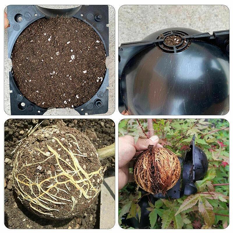 10Pcs Plant Rooting Ball High Pressure Propagation Box Grafting Breeding Device - L-12CM-10PCS V528-BREEDER-LARGESIZE-10PCS-10506