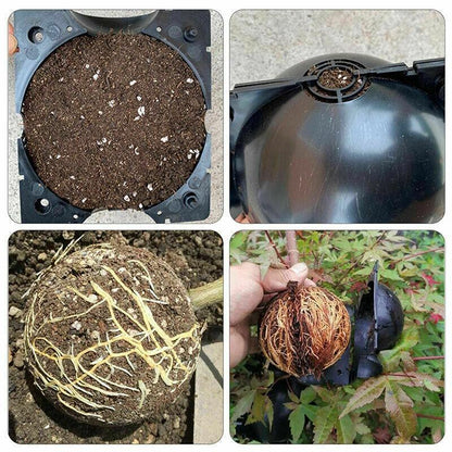 10Pcs Plant Rooting Ball High Pressure Propagation Box Grafting Breeding Device - L-12CM-10PCS V528-BREEDER-LARGESIZE-10PCS-10506