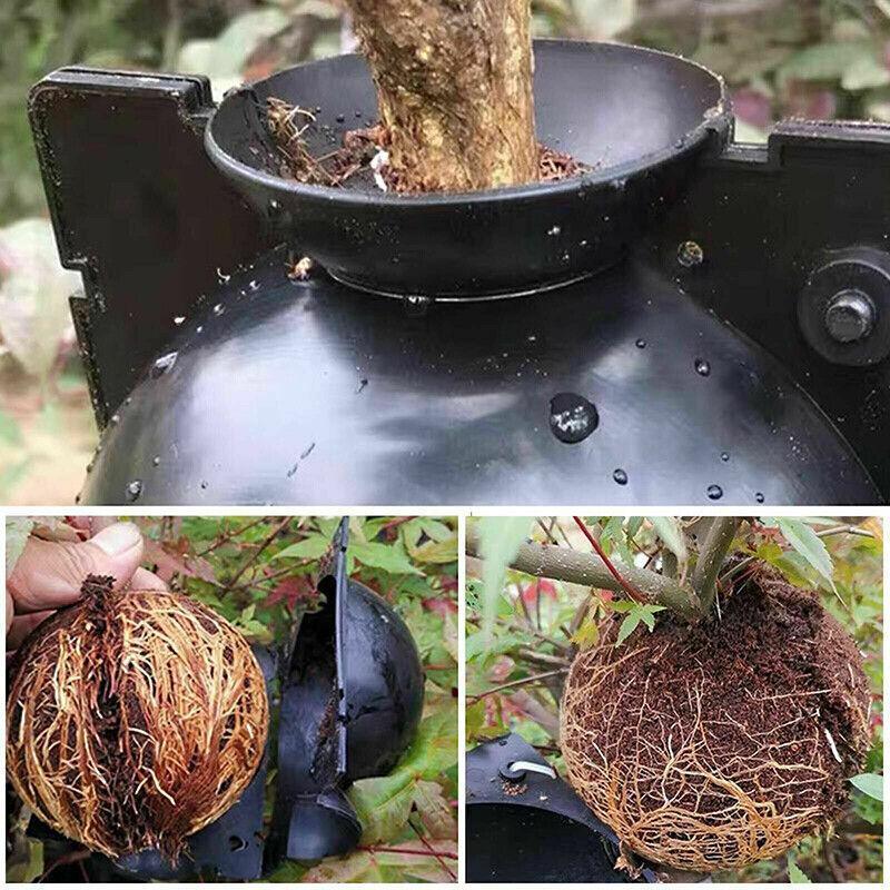 10Pcs Plant Rooting Ball High Pressure Propagation Box Grafting Breeding Device - L-12CM-10PCS V528-BREEDER-LARGESIZE-10PCS-10506