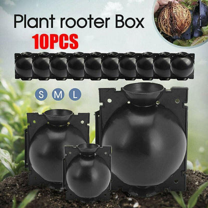 10Pcs Plant Rooting Ball High Pressure Propagation Box Grafting Breeding Device - S-5CM-10PCS V528-BREEDER-SMALL-10PCS-14681
