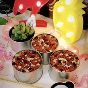 10pcs Open Window Cake Tin Box Bakery Biscuit Packaging Storage Tin Box Set - Sliver V528-CAN-10PCS-SLIVER-9-6-355230