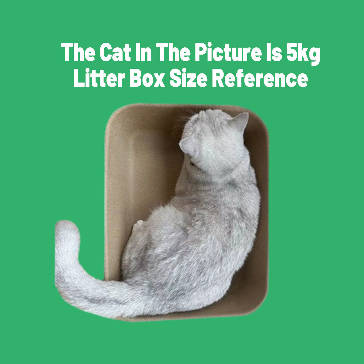 10pcs Disposable Litter Box Pulp Degradable Pet Tray Travel Portable Eco Use V528-CAT-LITTER-BOX-10PCS-795911