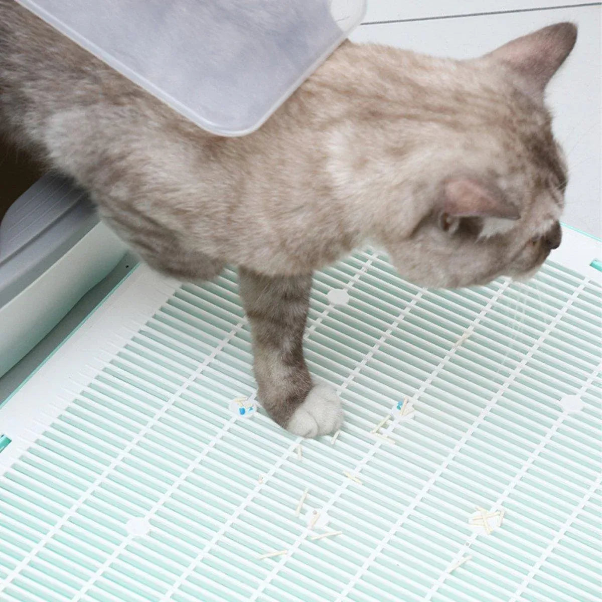 Anti Spill Cat Litter Mat Double Layer Pet Toilet Mat for Litter Box - Pink V528-CAT-LITTER-MAT-PINK-474924