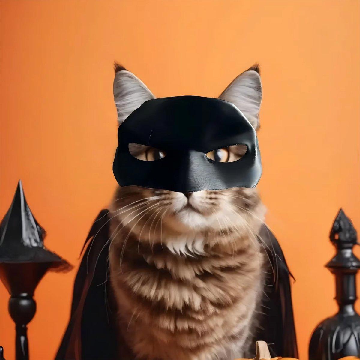 Halloween Bat Mask Cat Mask Pet Costume Accessories for Small Dogs Cats Outfit - S V528-CAT-MASK-BLACK-S-177103