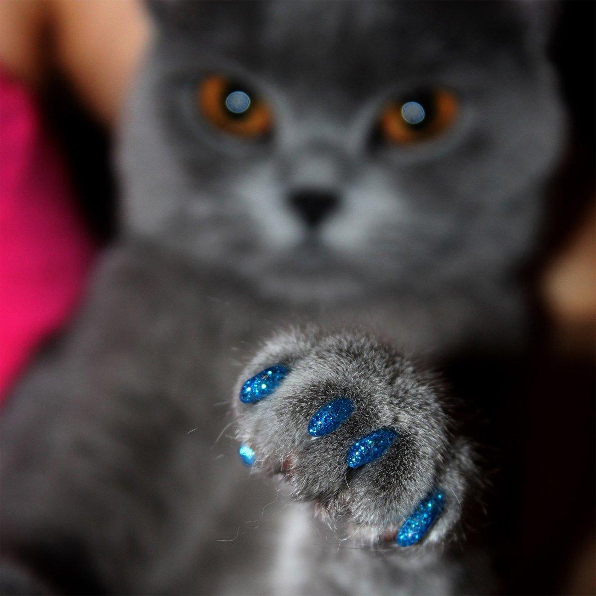100PCS Anti Scratch Paw Covers for Cats and Kittens Nail Protector Soft Paw - Flat-S V528-CAT-PAWL-SLEEVE-ZH3-S-235604