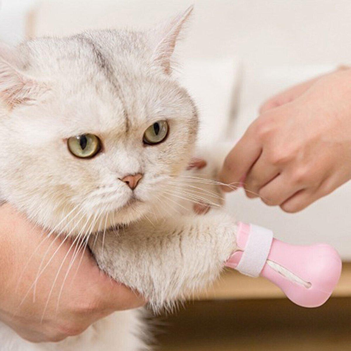 4pcs Cat Bathing Grooming Anti-Scratch Silicone Pet Socks for Bathing Feeding - Green V528-CAT-SHOES-GREEN-858357