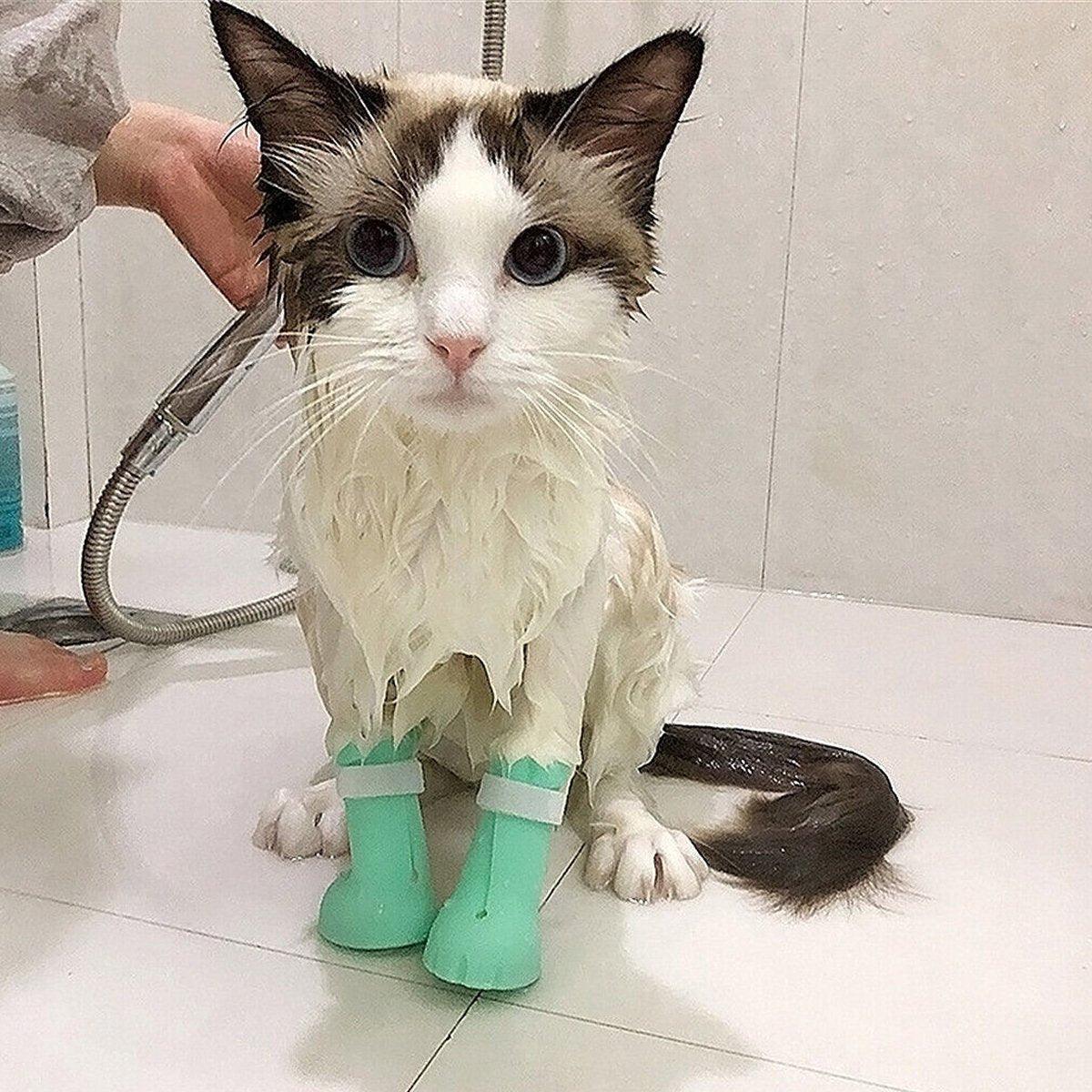 4pcs Cat Bathing Grooming Anti-Scratch Silicone Pet Socks for Bathing Feeding - Green V528-CAT-SHOES-GREEN-858357