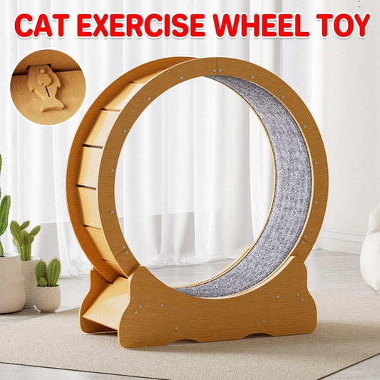 Cat Exercise Wheel Toy Furniture Running Treadmill Exerciser Scratcher Board V528-CAT-WHEEL-S-644787