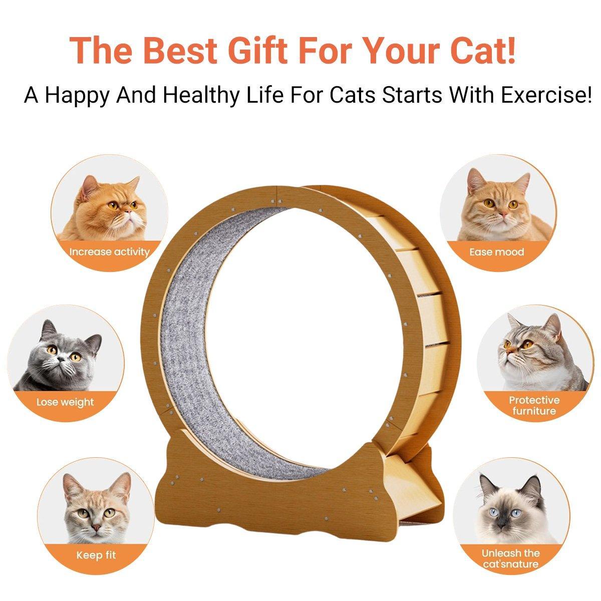 Cat Exercise Wheel Toy Furniture Running Treadmill Exerciser Scratcher Board V528-CAT-WHEEL-S-644787