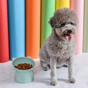 Elevated Pet Bowl Cat Dog Feeder Food Water High-Foot Anti Vomiting Tilted Bowl - Pink V528-CATBOWL-PINK-85071