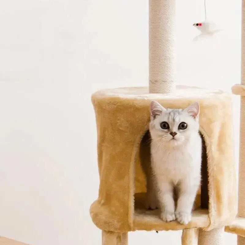 Cat Tree Scratching Post Gym House Condo Scratcher Furniture Tower - Grey V528-CATCLIMBINGFRAME-GREY-99555