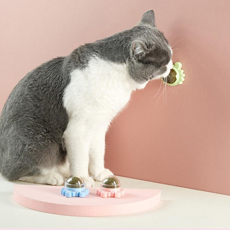 2PCS Rotatable Catnip Mint Ball Cat Treat Toys Licking Snack Cat Molar - Green V528-CATNIP-GREEN-2PCS-78040