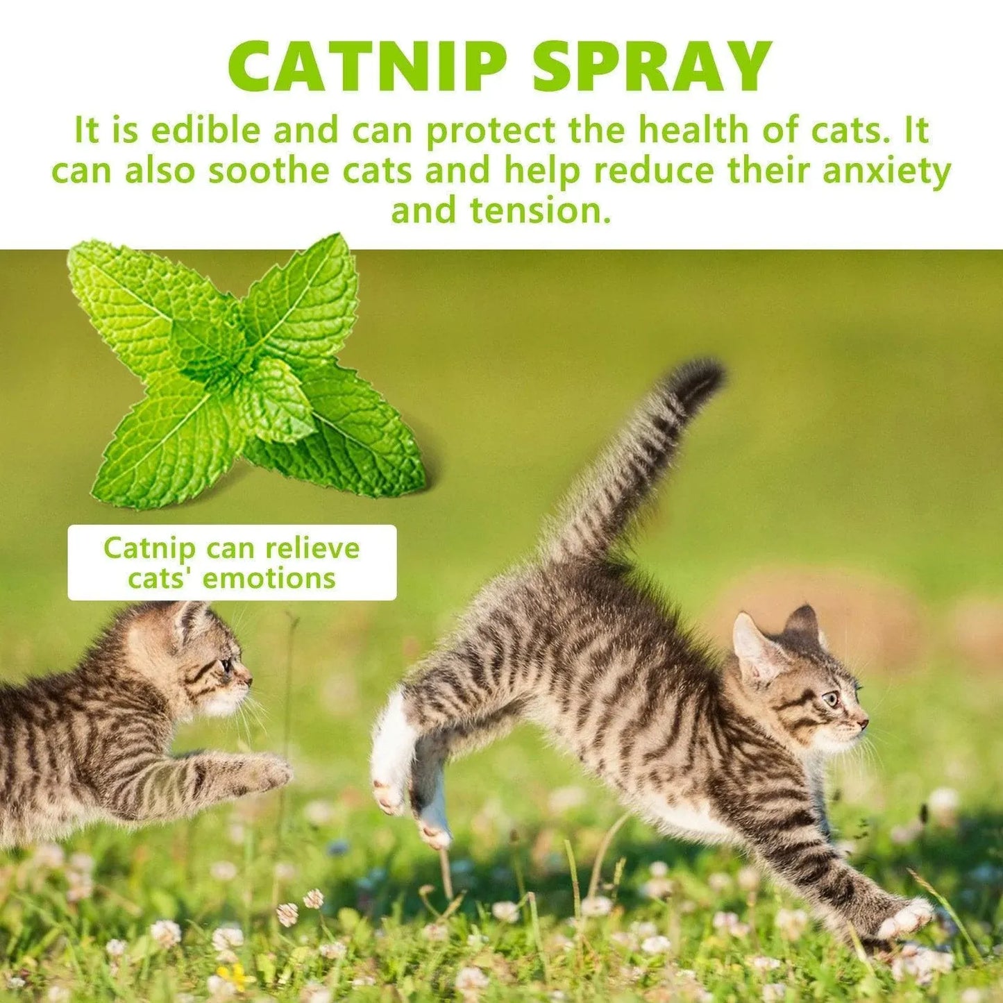 Catnip Spray Relieves Cat Anxiety Boosts Vitality Pet Health Care Natural Spray V528-CATNIP-SPRAY-728884