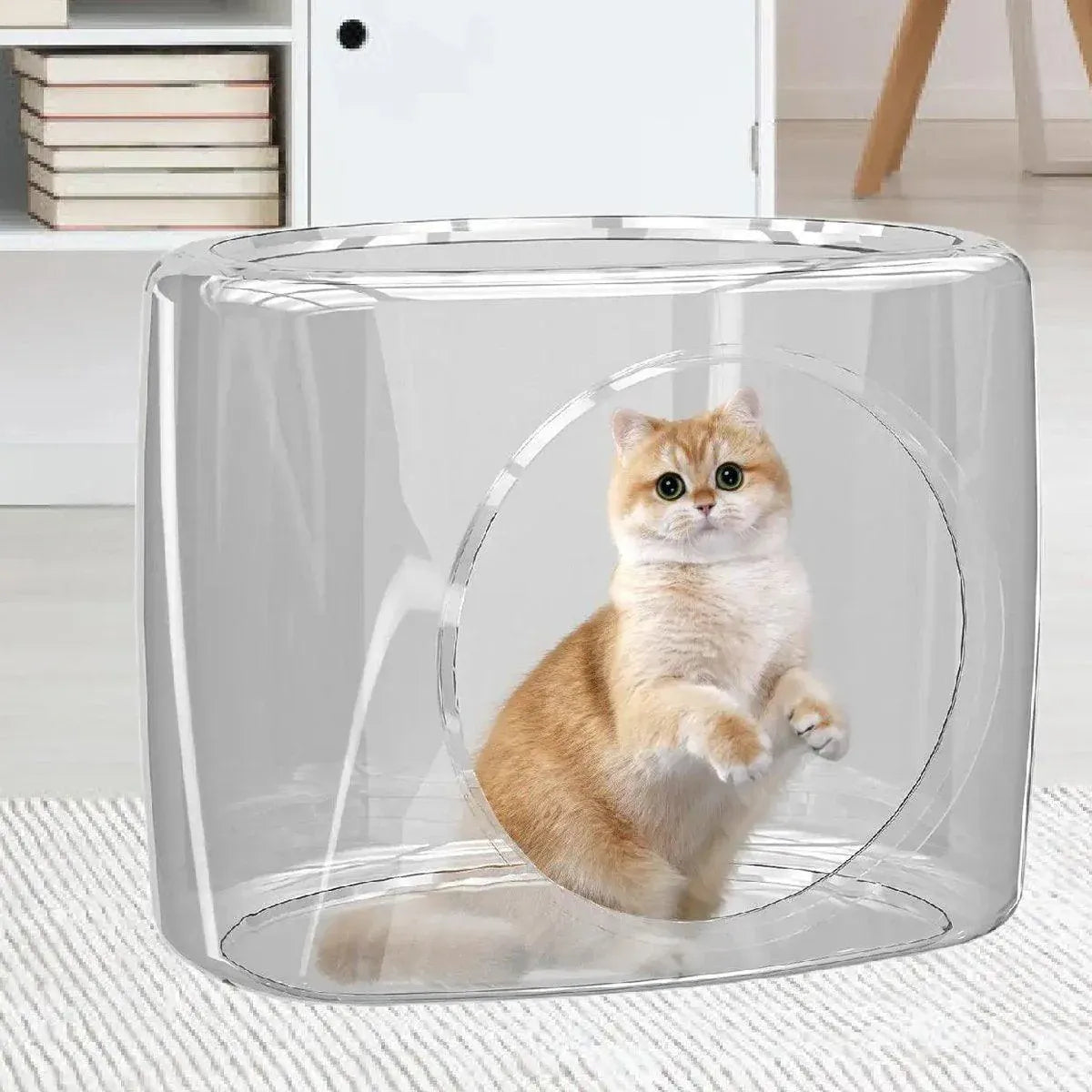 Transparent Capsule Cat Litter Box Semi Enclosed Cat House for Indoor Use V528-CATTERY-LUCENCY-302693