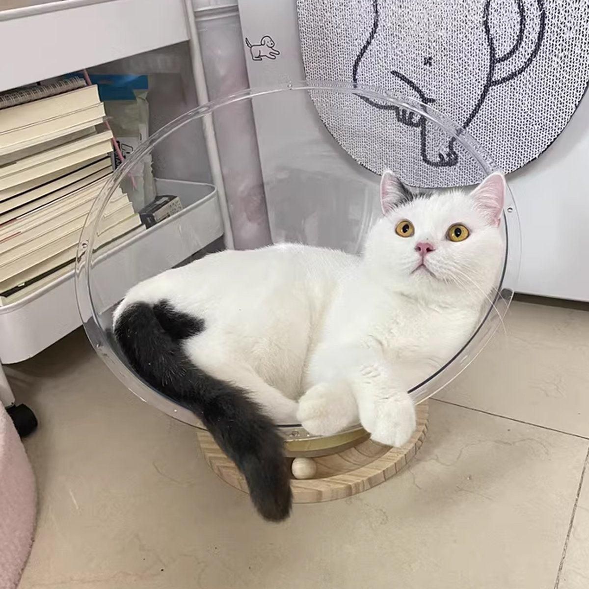 Four Seasons Acrylic Space Capsule Cat Bed Semi-closed Cool Nest Turntable Toy - XL V528-CATTERY-ROUND-XL-361607