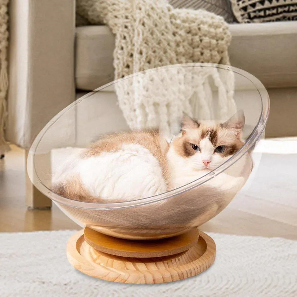 Four Seasons Acrylic Space Capsule Cat Bed Semi-closed Cool Nest Turntable Toy - XL V528-CATTERY-ROUND-XL-361607