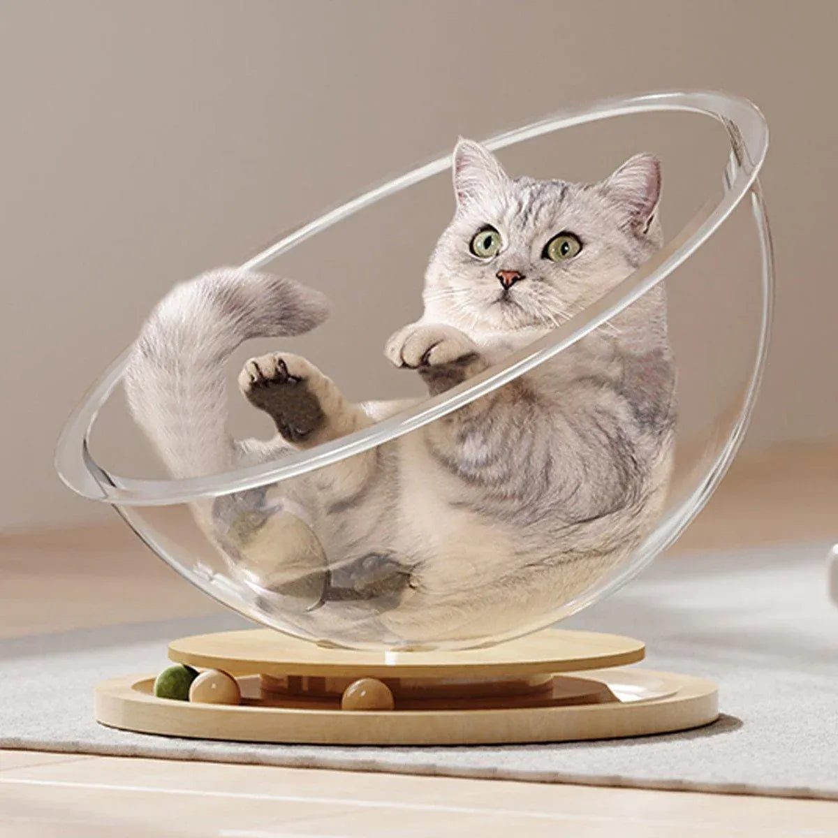 Four Seasons Acrylic Space Capsule Cat Bed Semi-closed Cool Nest Turntable Toy - XL V528-CATTERY-ROUND-XL-361607